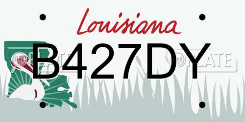 B427DY Louisiana License Plate