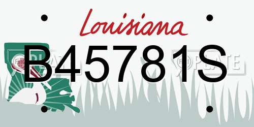 B45781S Louisiana License Plate