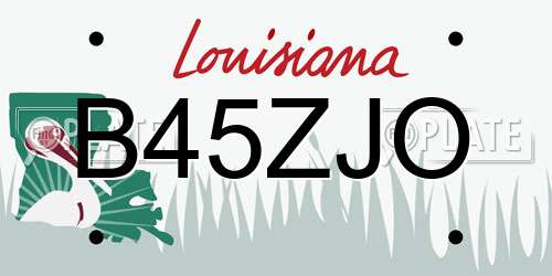 B45ZJO Louisiana License Plate