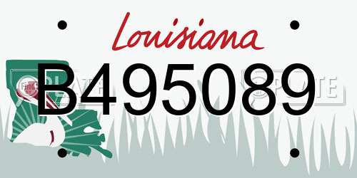 B495089 Louisiana License Plate