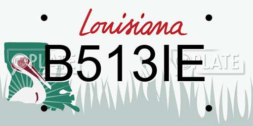 B513IE Louisiana License Plate