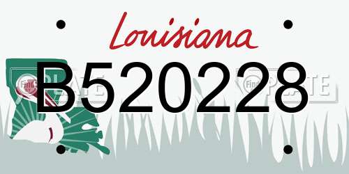 B520228 Louisiana License Plate