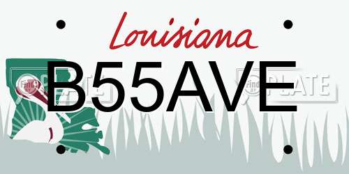 B55AVE Louisiana License Plate