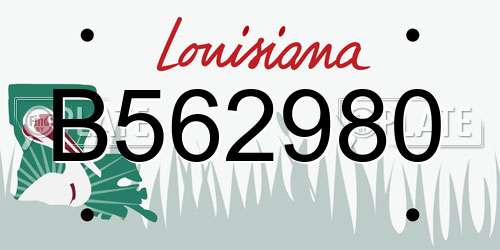 B562980 Louisiana License Plate