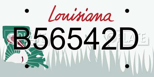 B56542D Louisiana License Plate