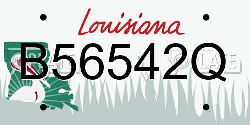 B56542Q Louisiana License Plate