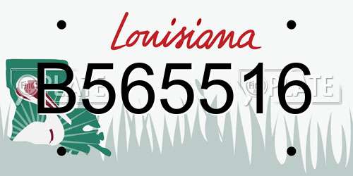 B565516 Louisiana License Plate
