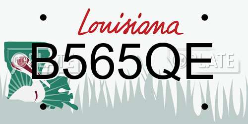B565QE Louisiana License Plate