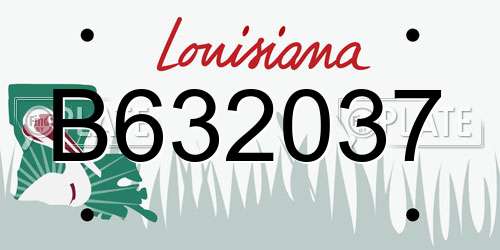 B632037 Louisiana License Plate
