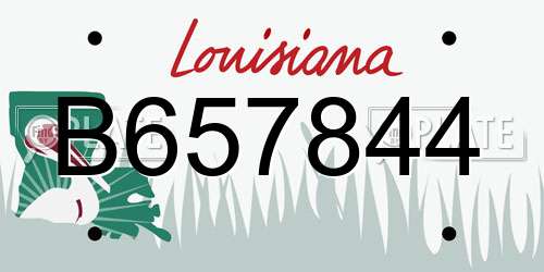 B657844 Louisiana License Plate