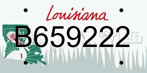 B659222 Louisiana License Plate