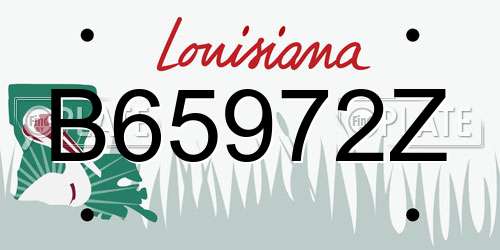 B65972Z Louisiana License Plate