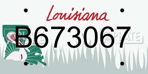 B673067 Louisiana License Plate