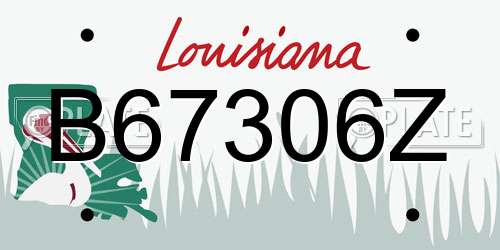 B67306Z Louisiana License Plate
