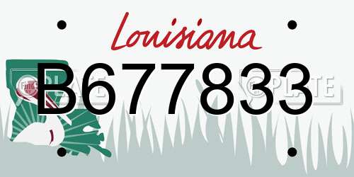 B677833 Louisiana License Plate