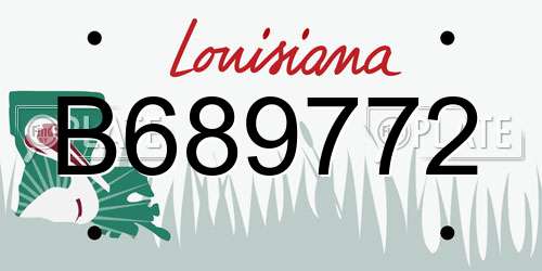 B689772 Louisiana License Plate