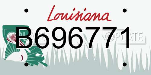 B696771 Louisiana License Plate