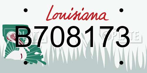 B708173 Louisiana License Plate