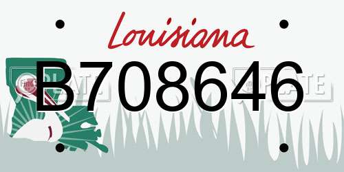 B708646 Louisiana License Plate