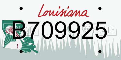 B709925 Louisiana License Plate