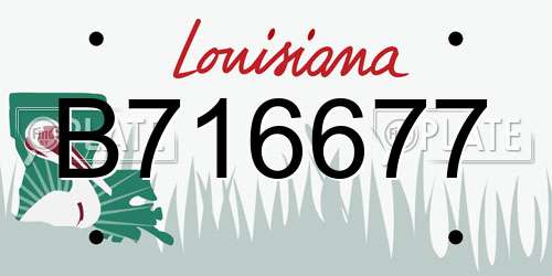 B716677 Louisiana License Plate