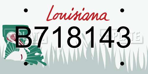 B718143 Louisiana License Plate
