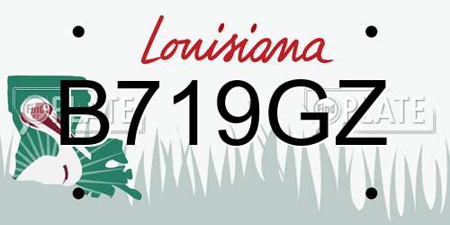 B719GZ Louisiana License Plate