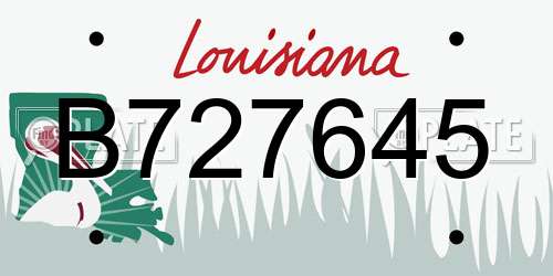 B727645 Louisiana License Plate