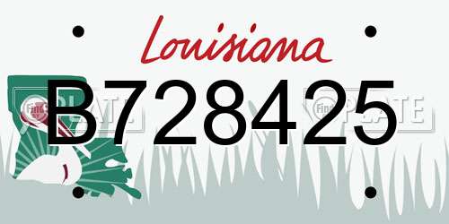 B728425 Louisiana License Plate