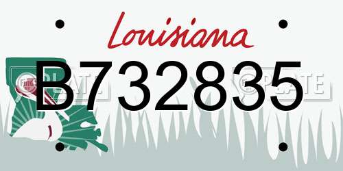 B732835 Louisiana License Plate