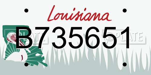 B735651 Louisiana License Plate