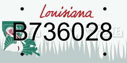 B736028 Louisiana License Plate