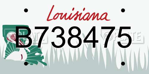 B738475 Louisiana License Plate