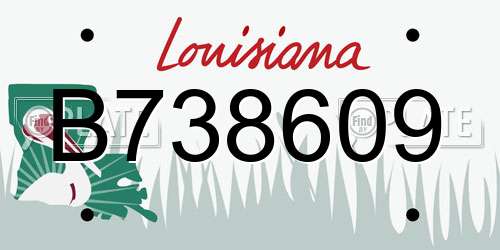 B738609 Louisiana License Plate