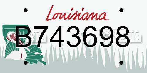 B743698 Louisiana License Plate