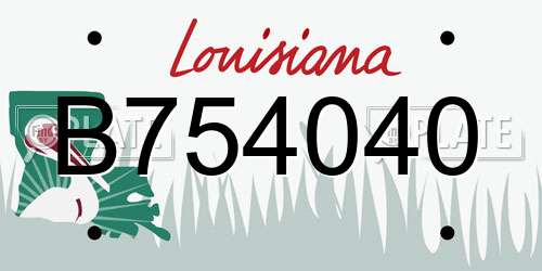 B754040 Louisiana License Plate