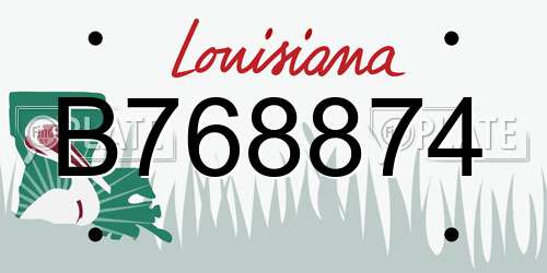 B768874 Louisiana License Plate