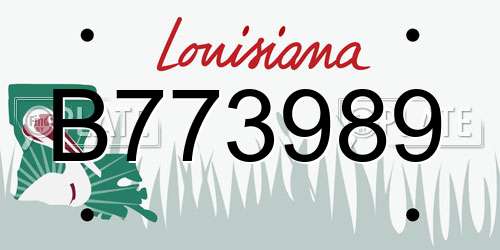 B773989 Louisiana License Plate