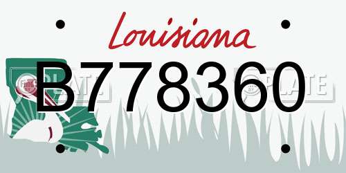 B778360 Louisiana License Plate