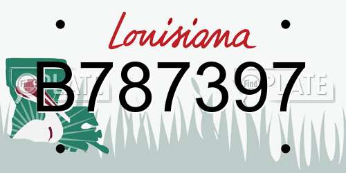B787397 Louisiana License Plate
