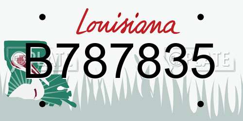 B787835 Louisiana License Plate