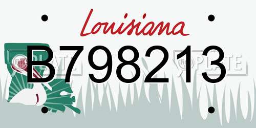 B798213 Louisiana License Plate