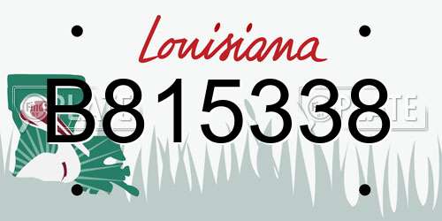 B815338 Louisiana License Plate