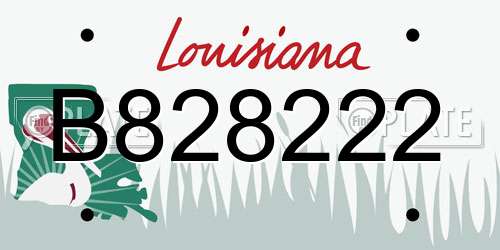 B828222 Louisiana License Plate