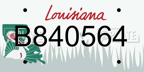 B840564 Louisiana License Plate