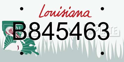 B845463 Louisiana License Plate