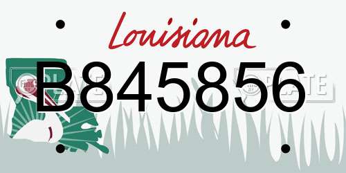 B845856 Louisiana License Plate