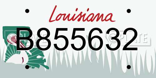 B855632 Louisiana License Plate