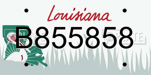 B855858 Louisiana License Plate
