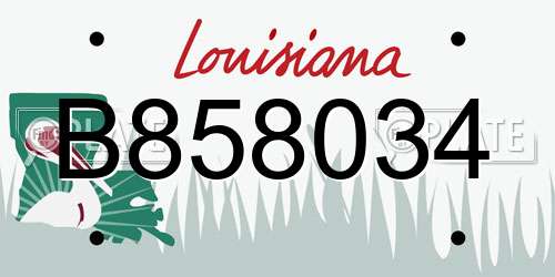 B858034 Louisiana License Plate